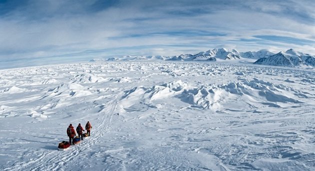 Which is the Biggest Desert in the World? Antarctica vs. Sahara Explained